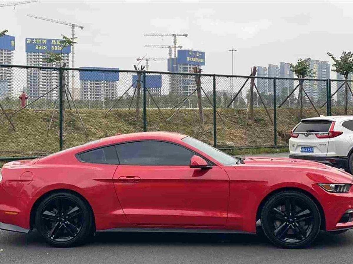 福特 Mustang  2015款 2.3T 性能版圖片