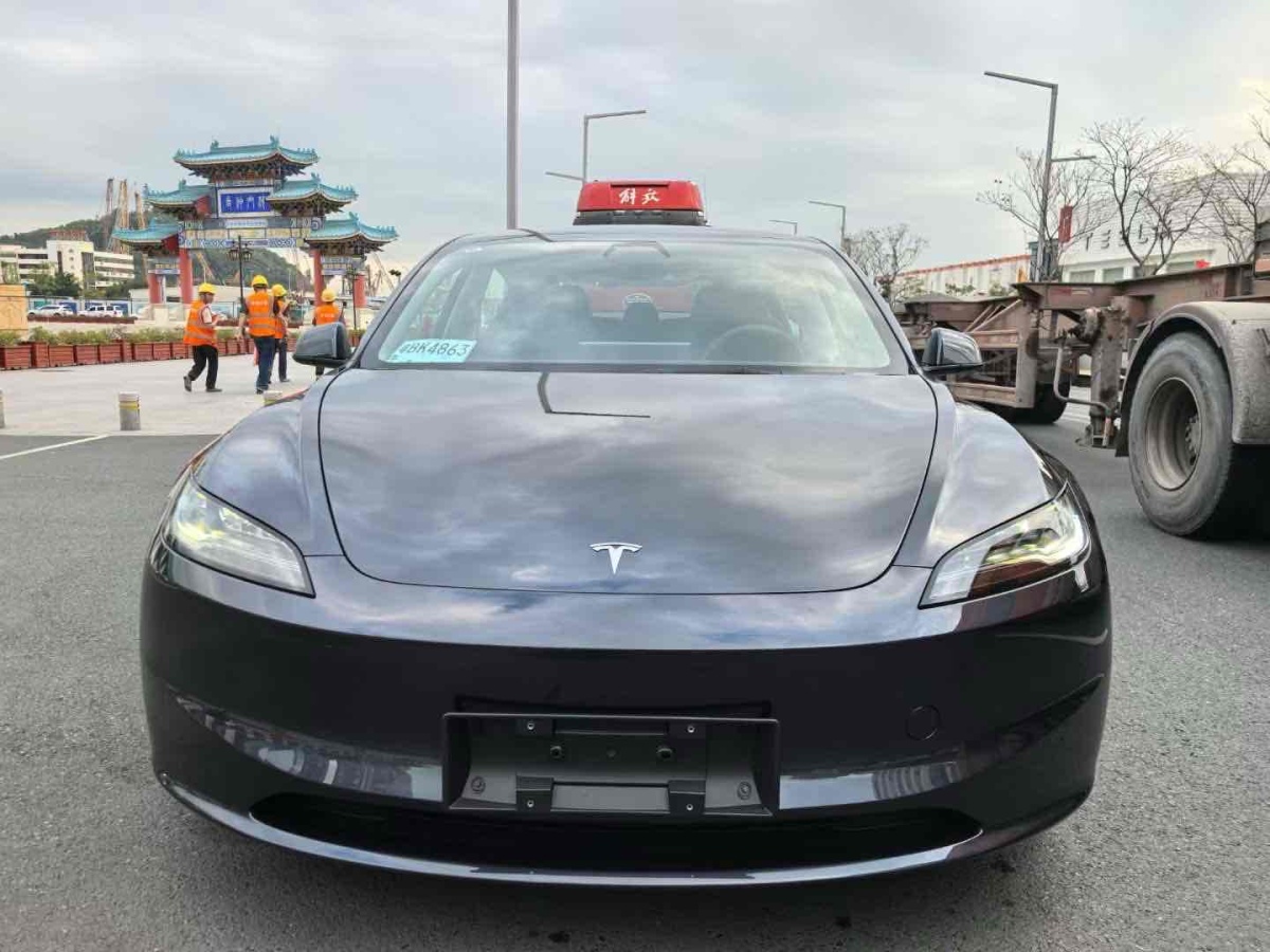 2025年3月特斯拉 Model Y  2023款 長續(xù)航全輪驅(qū)動版