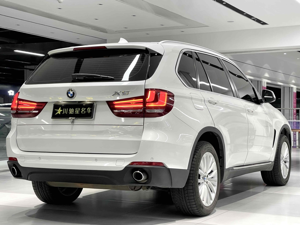 寶馬 寶馬X5  2014款 xDrive35i 領(lǐng)先型圖片