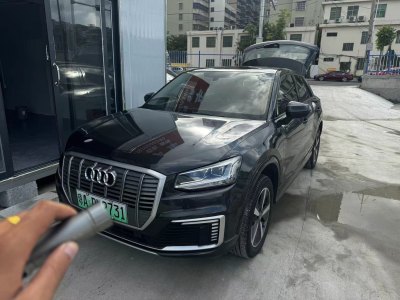 2021年9月 奥迪 Q2L e-tron e-tron 纯电智享型图片