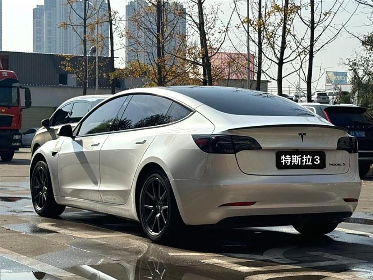 2020年1月特斯拉 Model 3  2020款 改款 標(biāo)準(zhǔn)續(xù)航后驅(qū)升級(jí)版