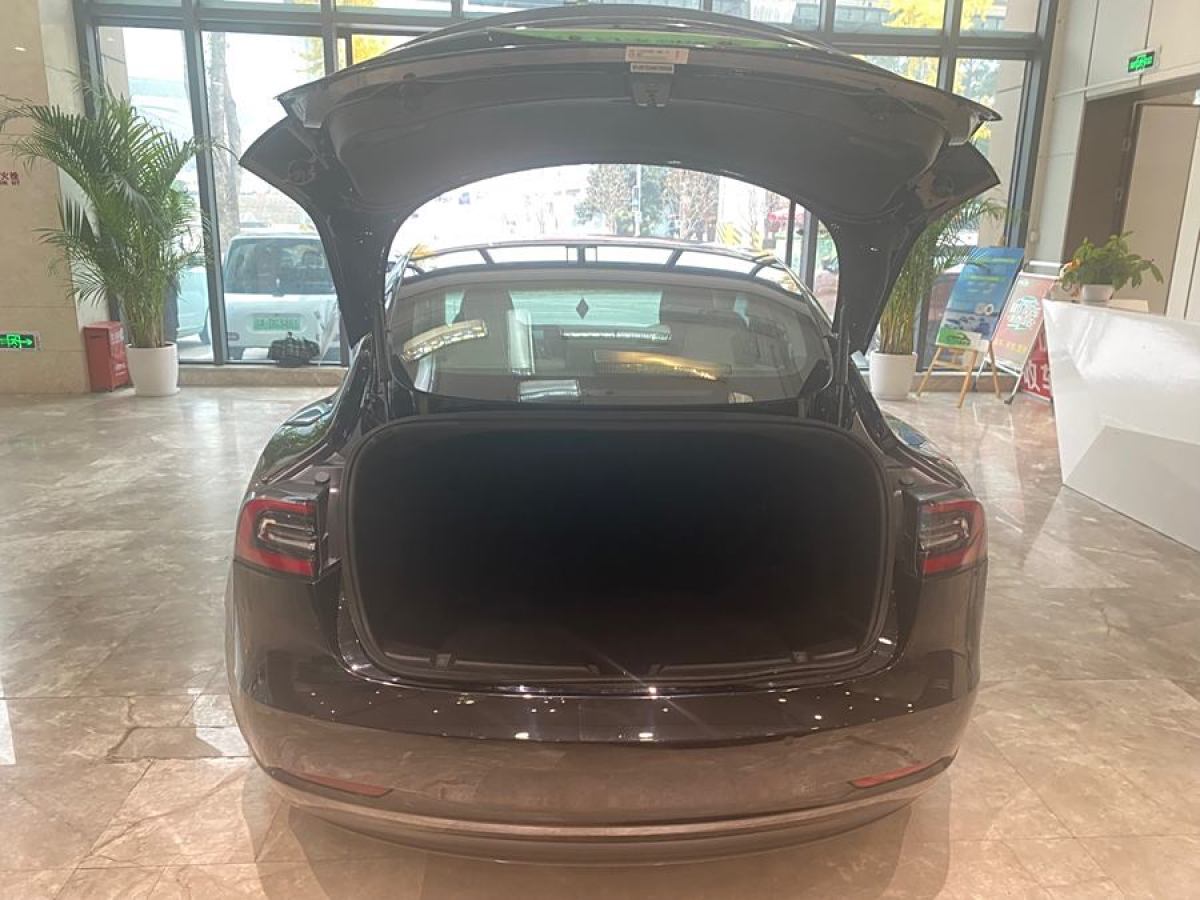 特斯拉 Model 3  2019款 長續(xù)航后驅(qū)版圖片