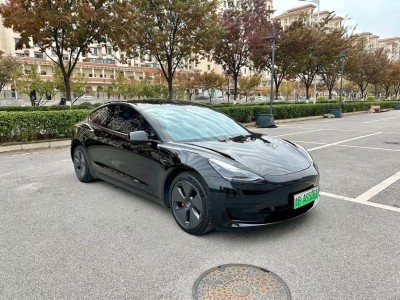 2021年5月 特斯拉 Model 3 标准续航后驱升级版 3D6图片