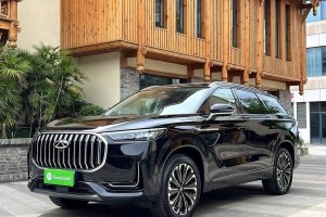 瑞虎9 奇瑞 2.0T 自動兩驅尊貴版 5座