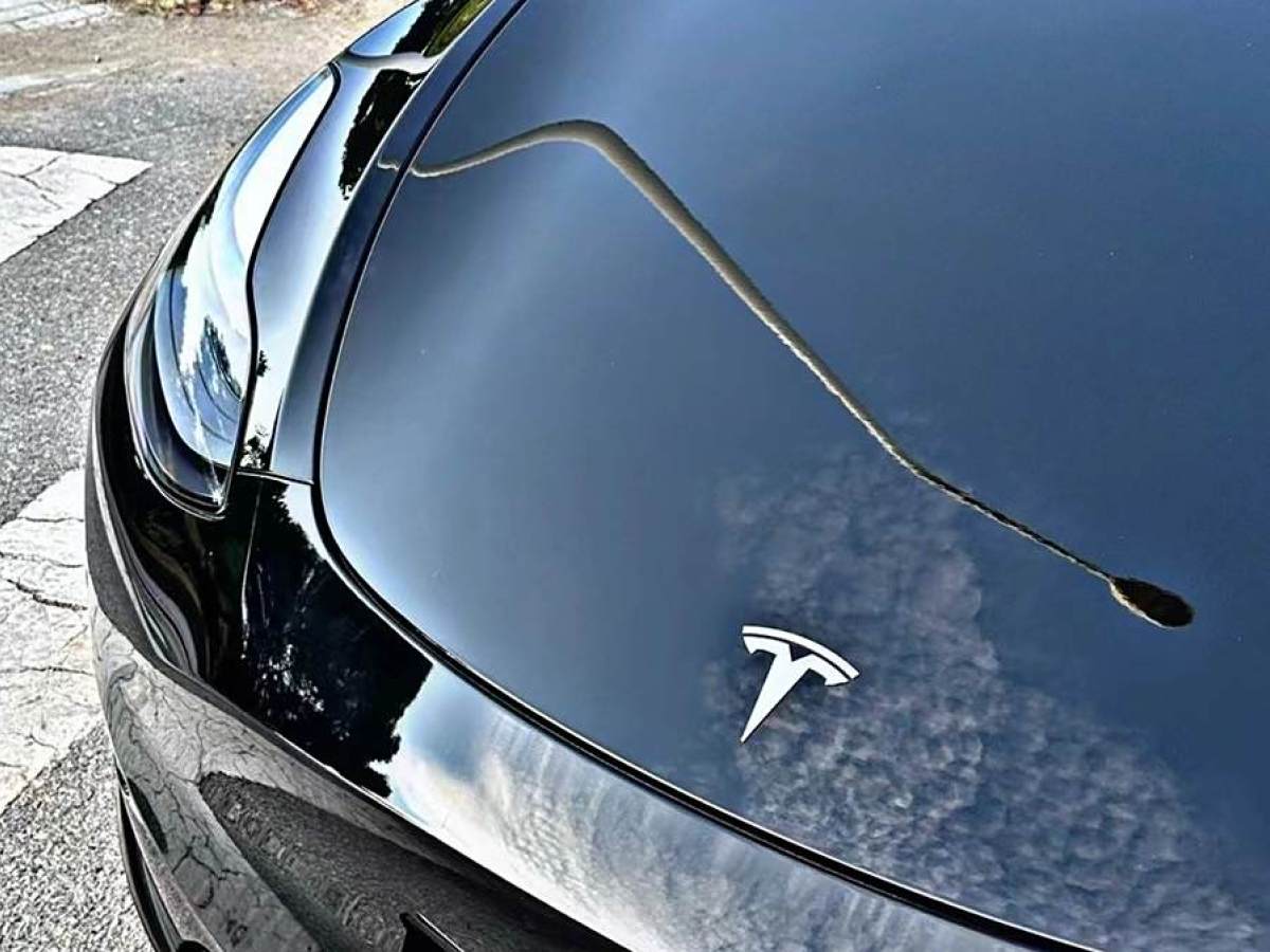 特斯拉 Model Y  2022款 改款 長續(xù)航全輪驅(qū)動版圖片