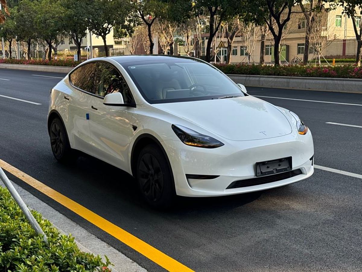 特斯拉 Model 3  2020款 改款 長續(xù)航后輪驅(qū)動版圖片