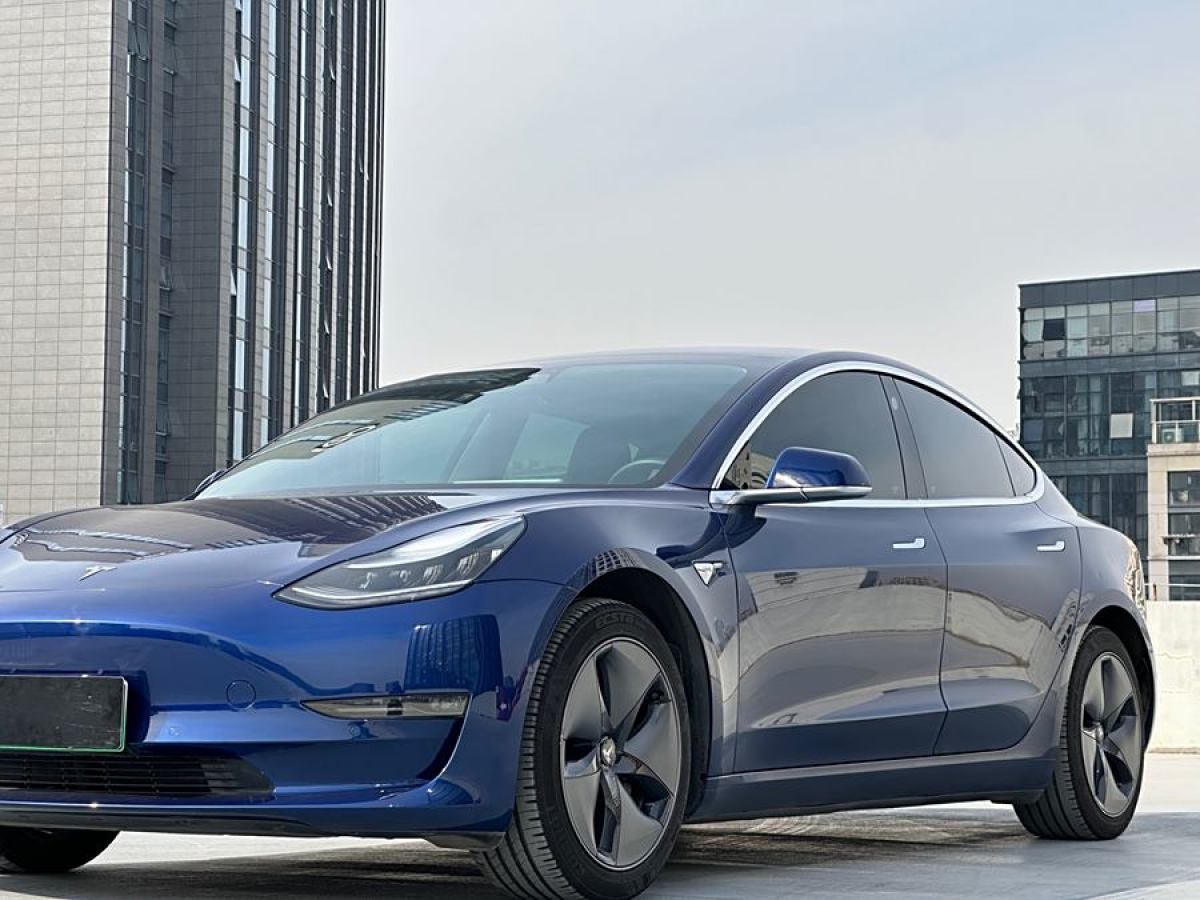 特斯拉 Model 3  2019款 長續(xù)航后驅(qū)版圖片