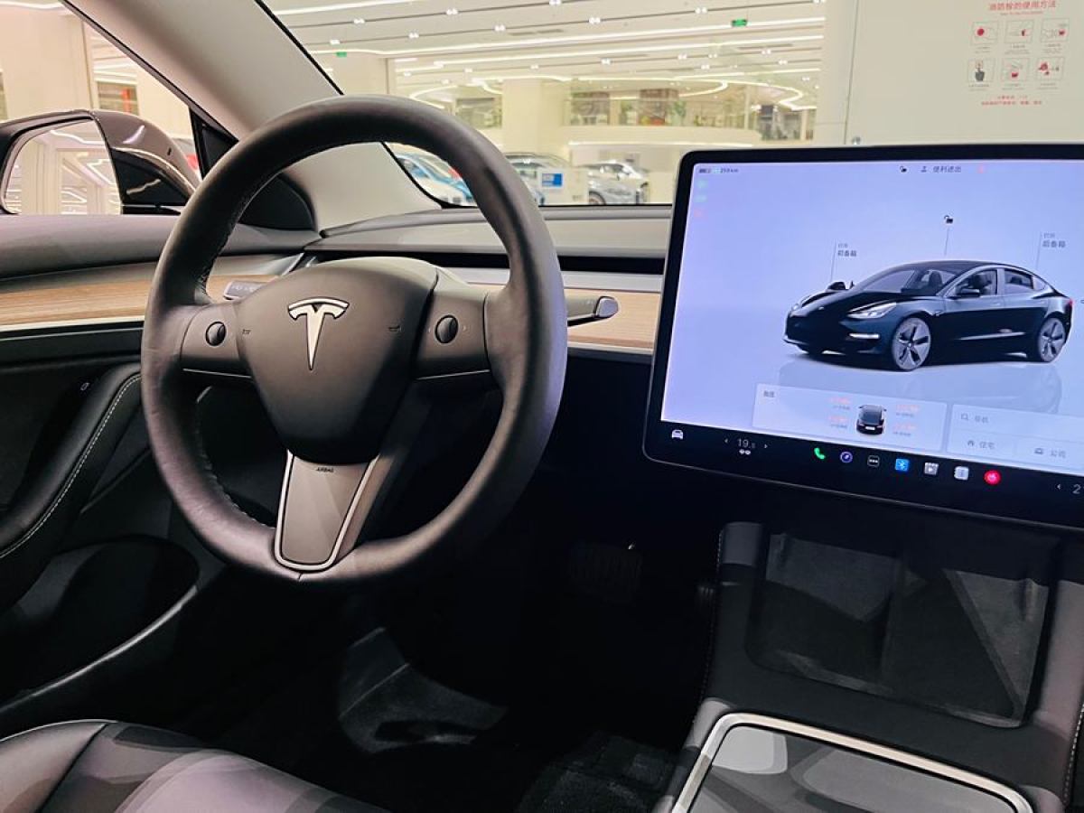 2022年6月特斯拉 Model 3  2022款 改款 后輪驅動版