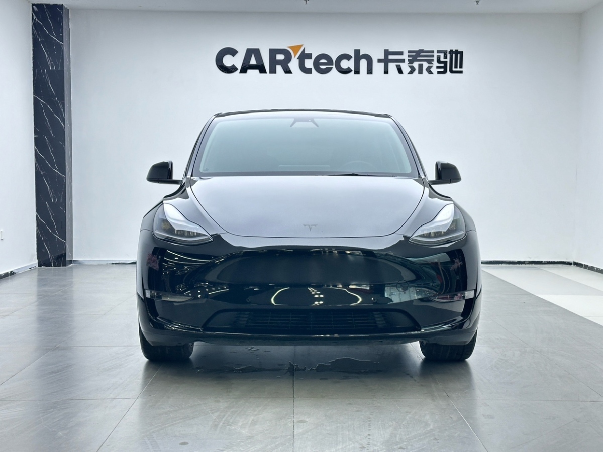 特斯拉 Model Y 2021款 標(biāo)準(zhǔn)續(xù)航后驅(qū)版圖片