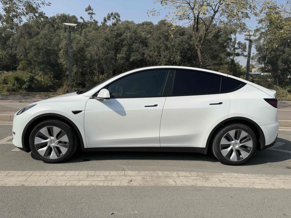 特斯拉 Model 3  2021款 改款 標(biāo)準(zhǔn)續(xù)航后驅(qū)升級(jí)版圖片