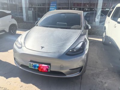 2021年11月 特斯拉 Model 3 改款 標(biāo)準續(xù)航后驅(qū)升級版圖片