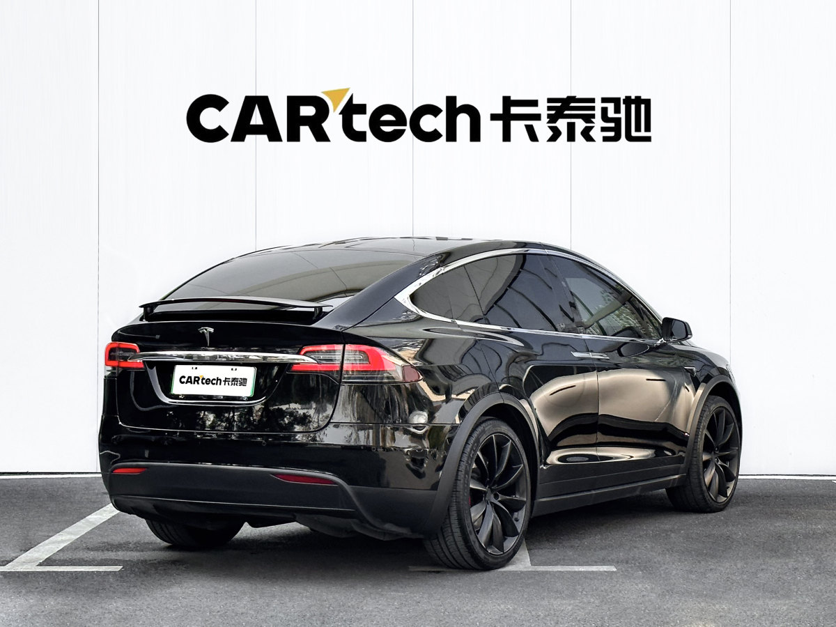 特斯拉 Model X  2019款 Performance 高性能版圖片