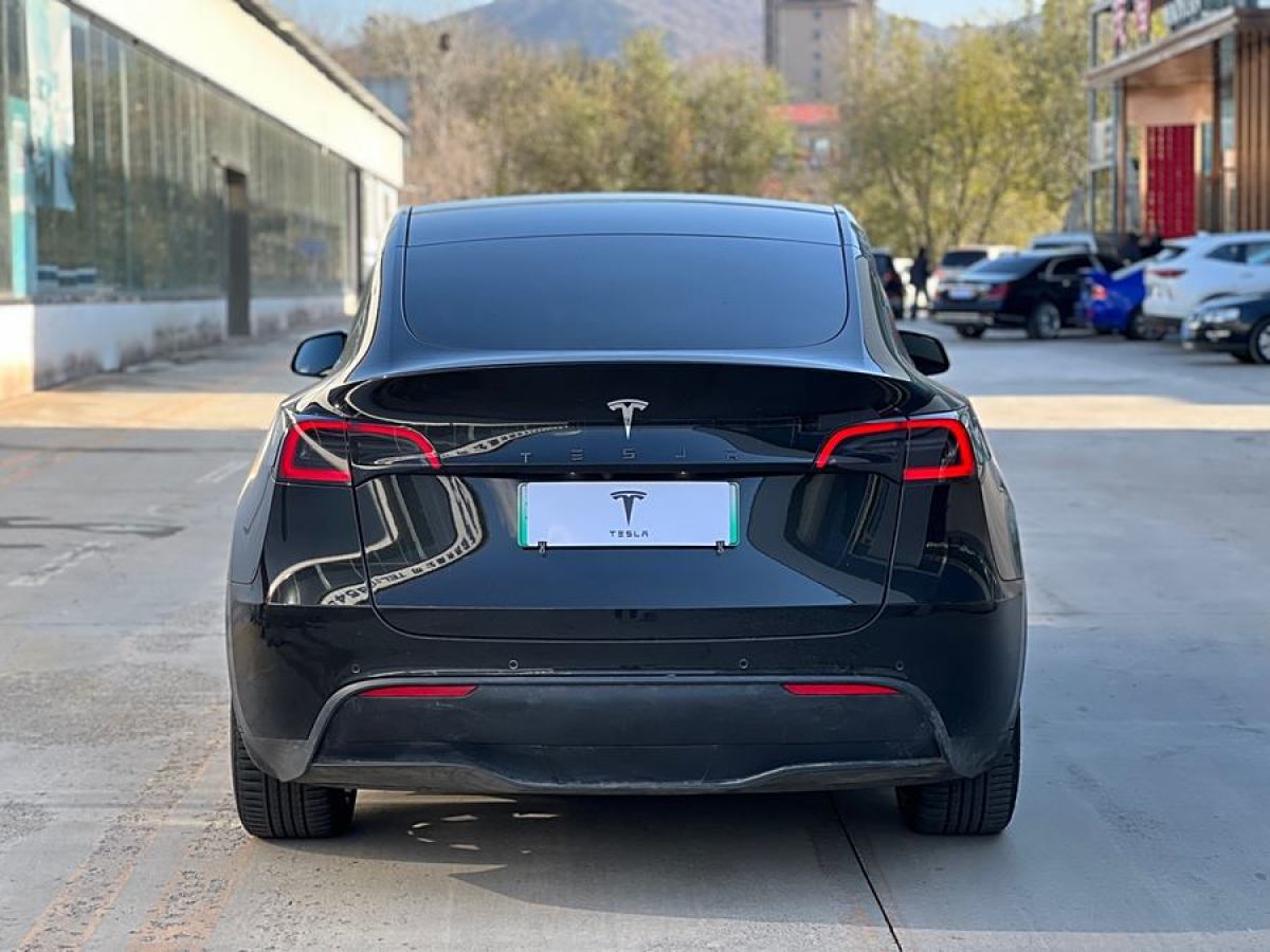 特斯拉 Model Y  2021款 長續(xù)航全輪驅(qū)動版 3D7圖片