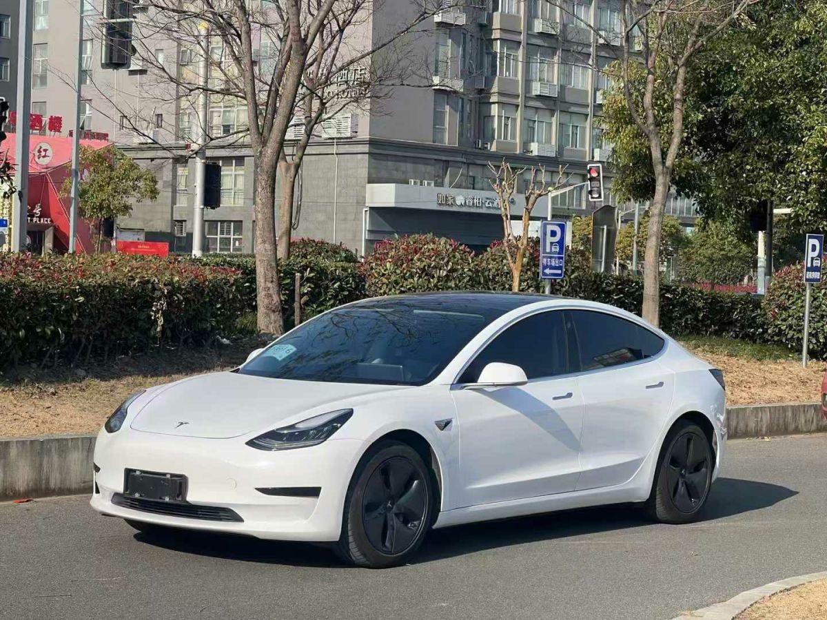 特斯拉 Model X  2020款 Performance 高性能版圖片