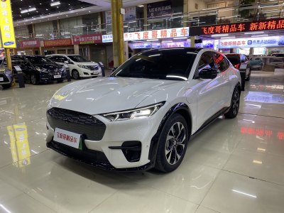 2022年6月 福特 Mustang Mach-E(進(jìn)口) 長(zhǎng)續(xù)航后驅(qū)版圖片