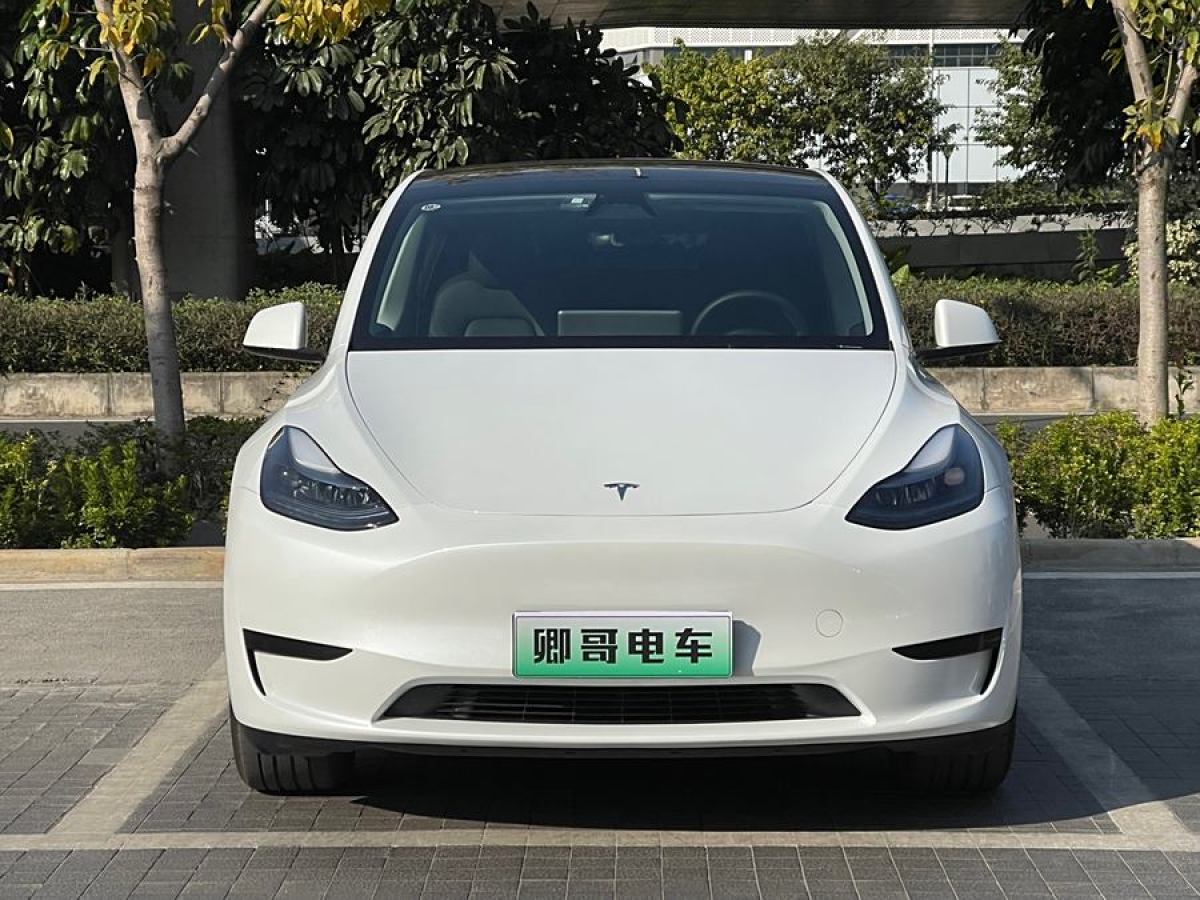 特斯拉 Model 3  2020款 改款 長續(xù)航后輪驅(qū)動(dòng)版圖片