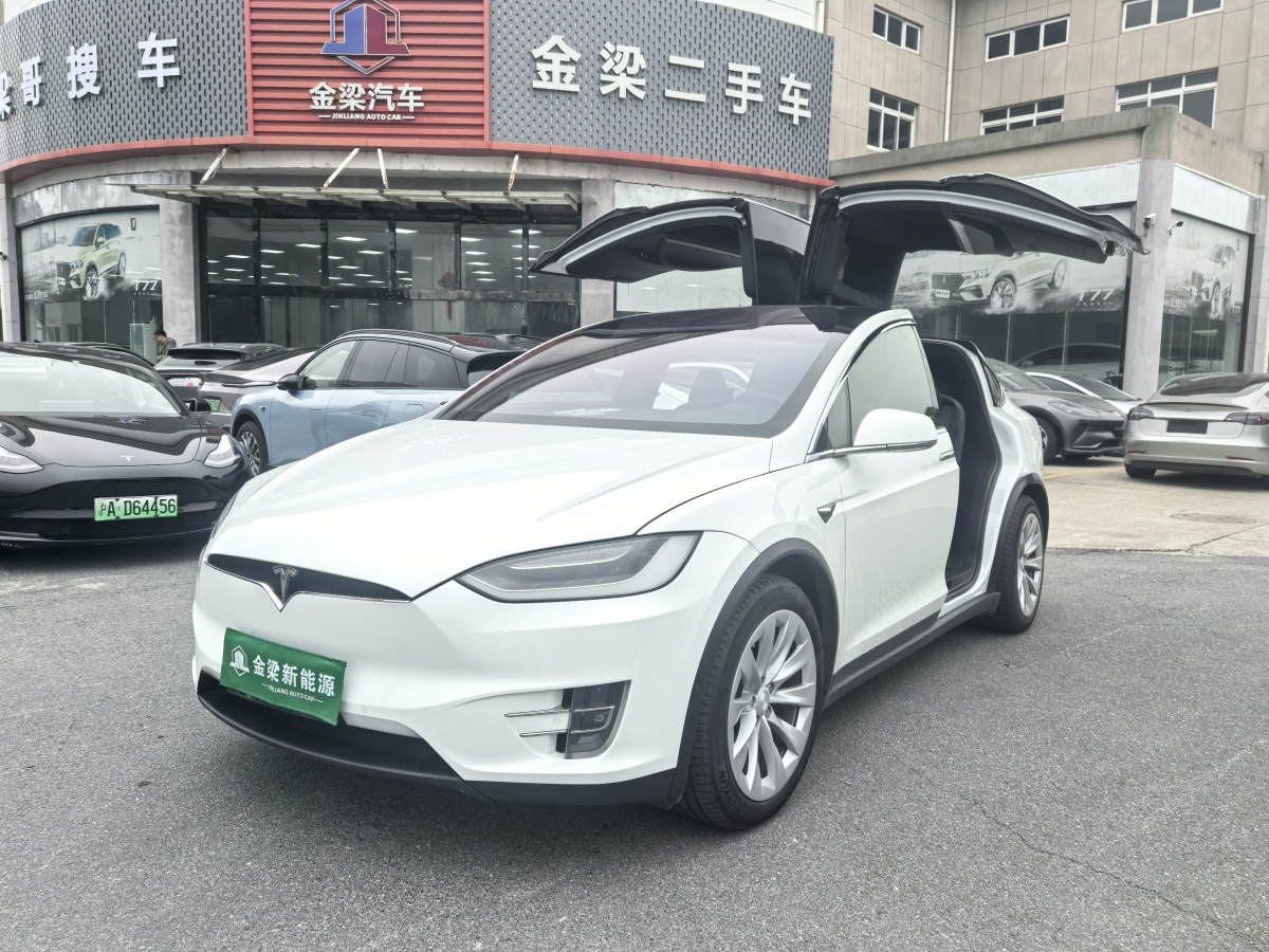 特斯拉 Model X  2019款 長續(xù)航版圖片