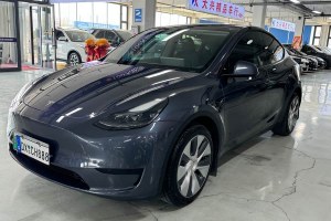 Model Y 特斯拉 改款 后輪驅(qū)動(dòng)版