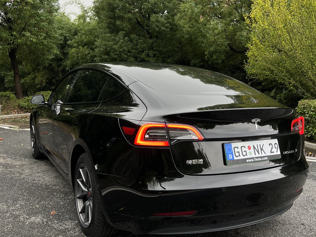 特斯拉 Model 3  2019款 標(biāo)準(zhǔn)續(xù)航后驅(qū)升級(jí)版圖片