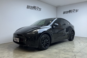 Model Y 特斯拉 后驅(qū)版