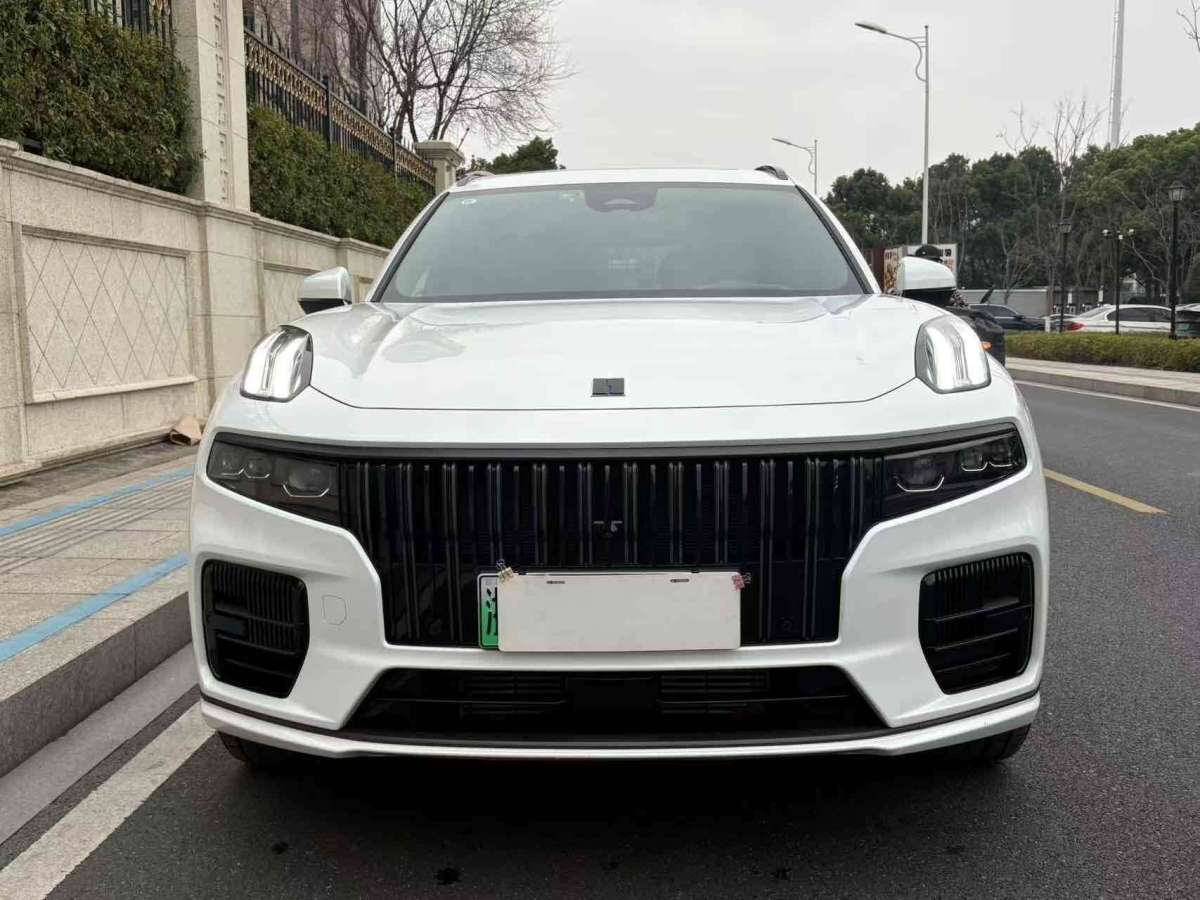 領克 領克09新能源  2021款 2.0T PHEV Halo 六座圖片