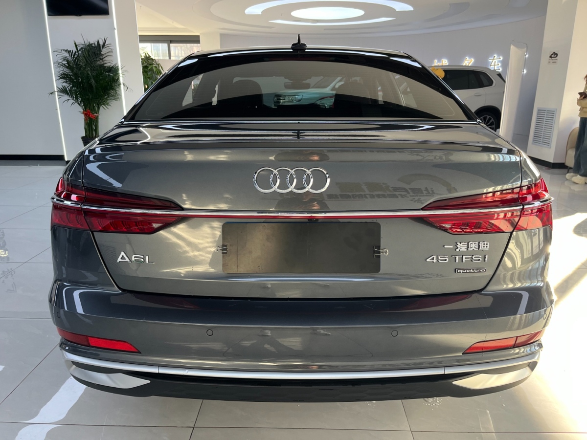 奧迪 奧迪A6L  2011款 A6L 3.0TFSI Quattro豪華型圖片