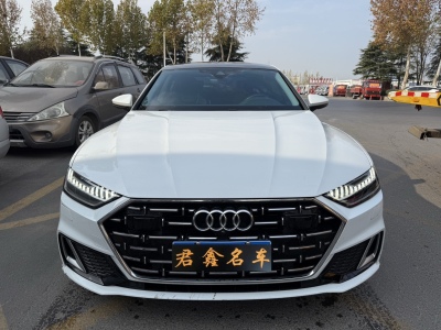 奥迪 奥迪A7L 45 TFSI quattro S-line 见远型流晶套装图片