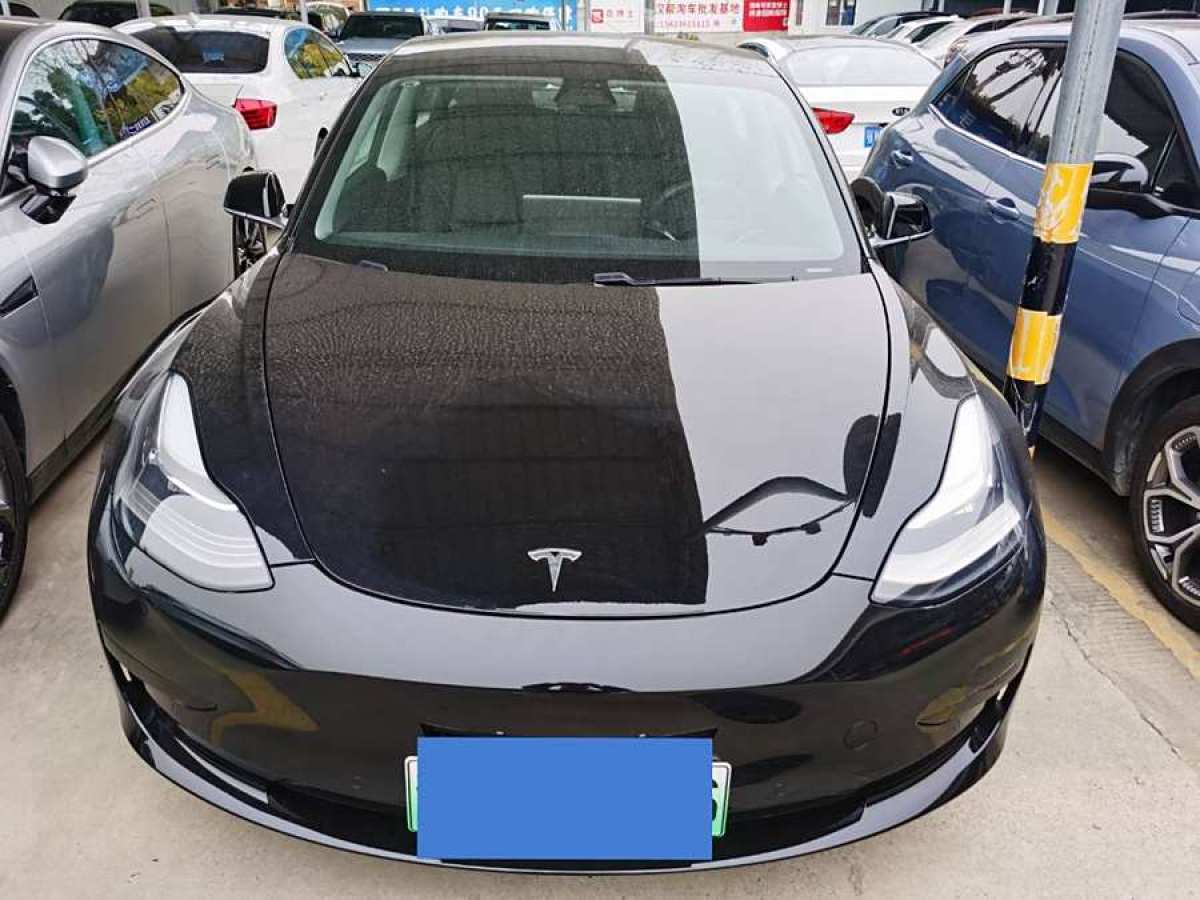 特斯拉 Model 3  2019款 標(biāo)準(zhǔn)續(xù)航后驅(qū)升級(jí)版圖片