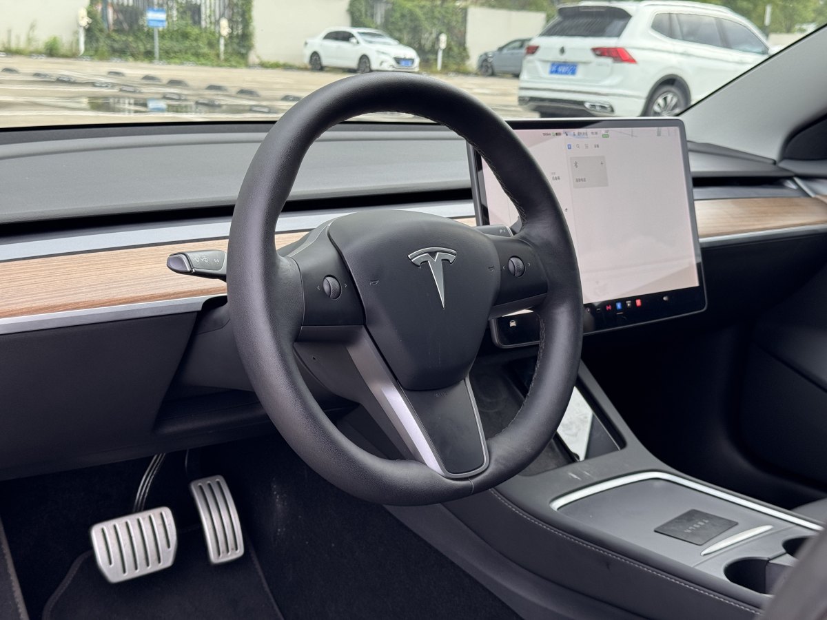 特斯拉 Model 3  2019款 Performance高性能全輪驅(qū)動版圖片