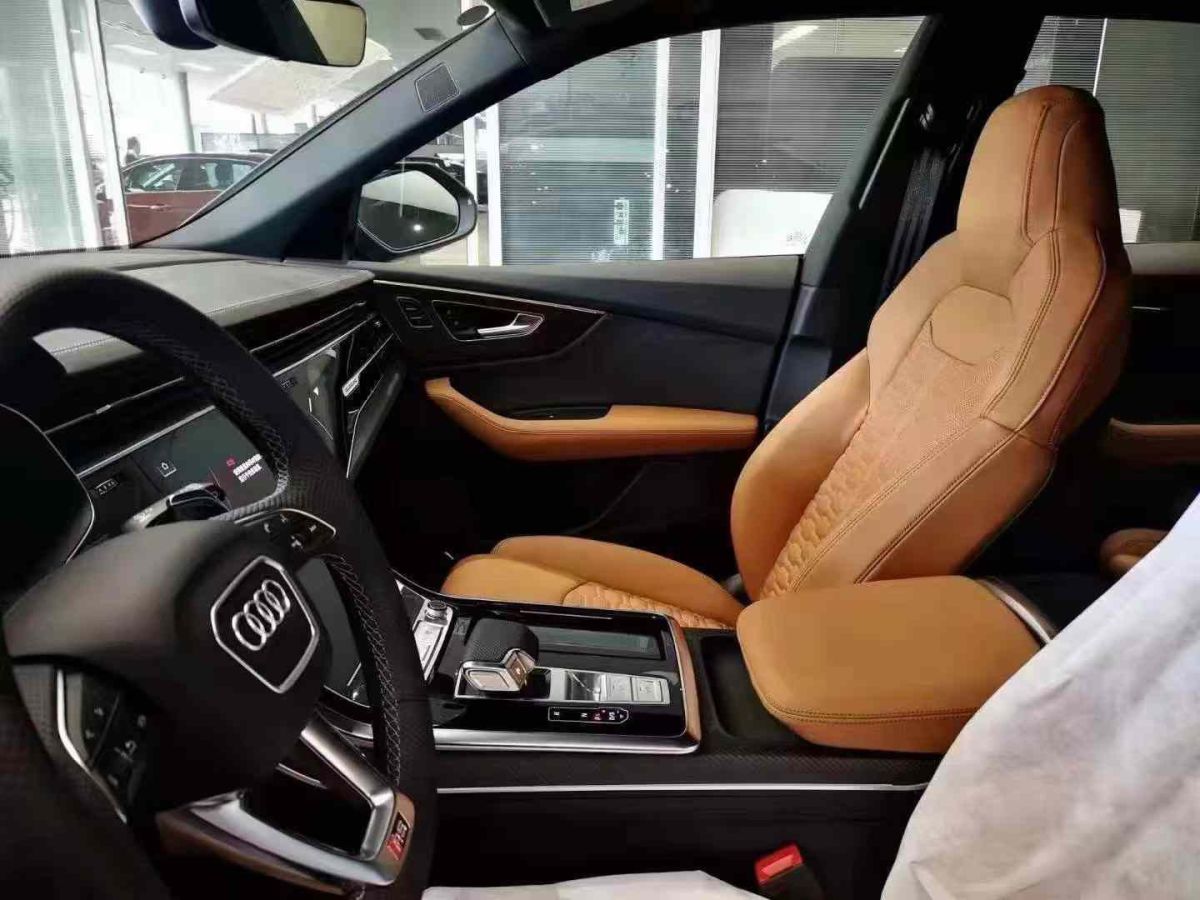 奧迪 奧迪SQ5  2021款 3.0 TFSI quattro圖片