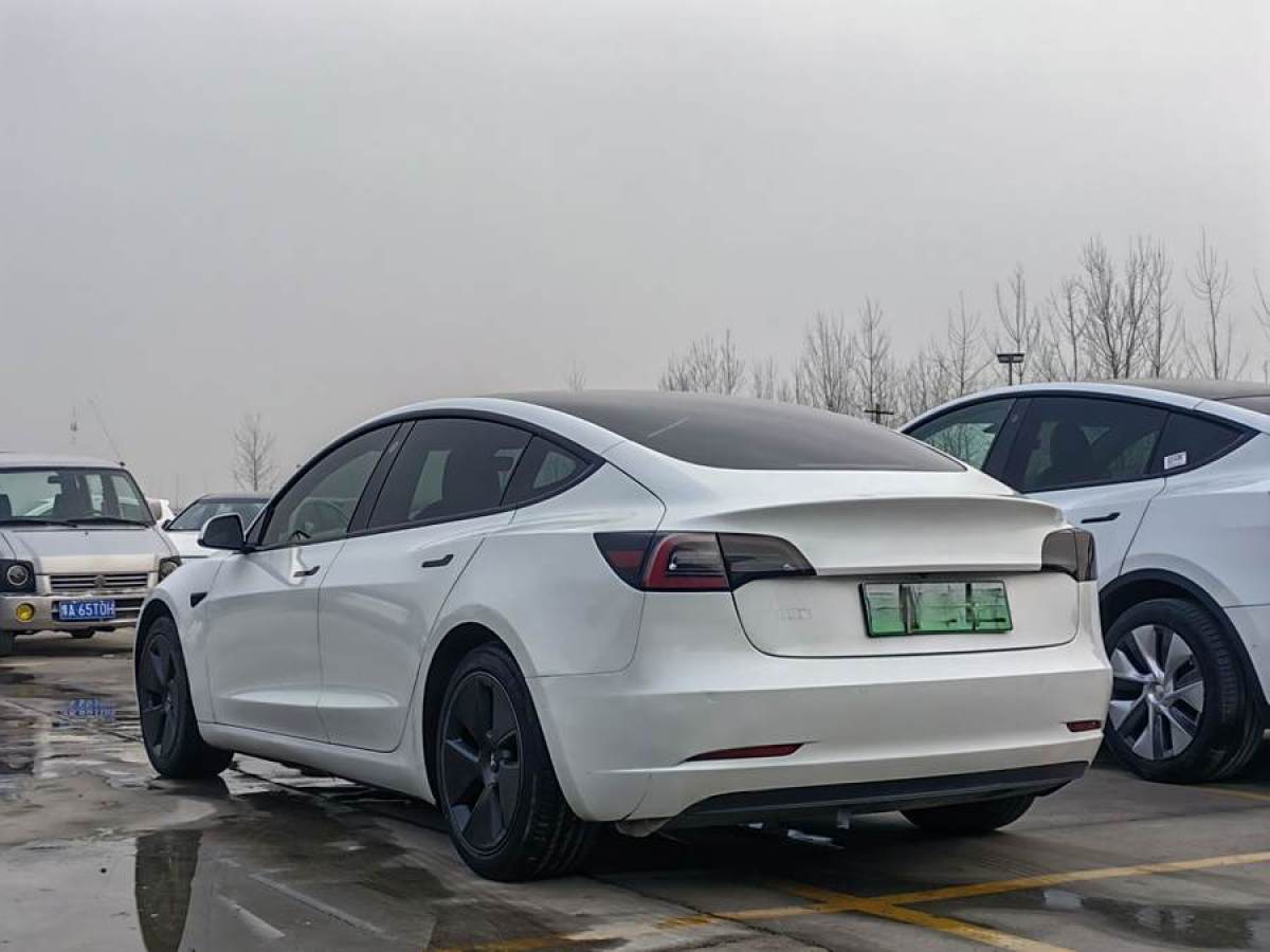 特斯拉 Model 3  2021款 改款 標準續(xù)航后驅升級版圖片