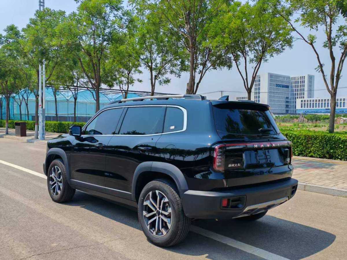 哈弗 哈弗大狗  2024款 1.5T DCT邊牧版圖片