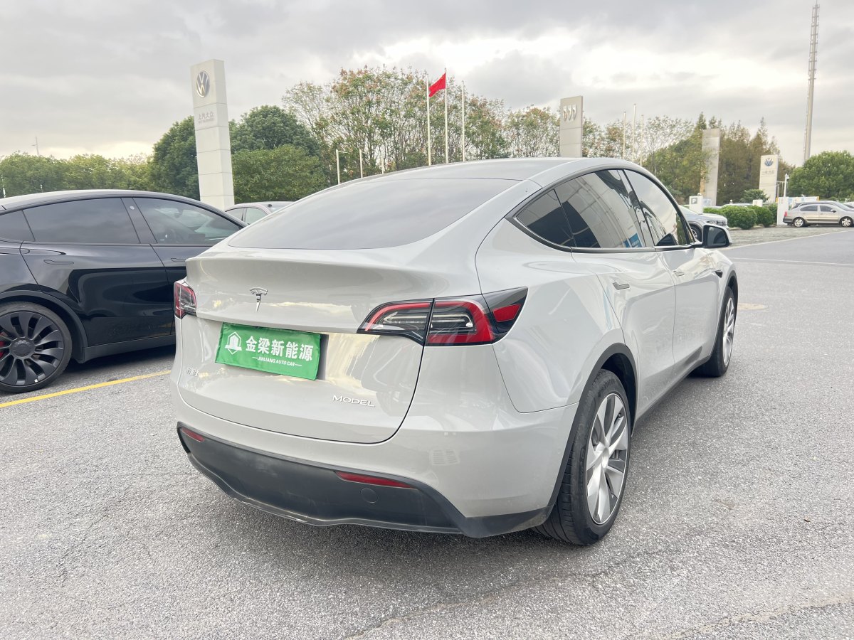 特斯拉 Model 3  2020款 改款 長(zhǎng)續(xù)航后輪驅(qū)動(dòng)版圖片