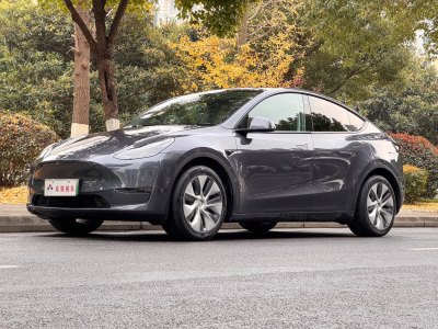  特斯拉 Model Y 2021款 標(biāo)準(zhǔn)續(xù)航后驅(qū)版 圖片