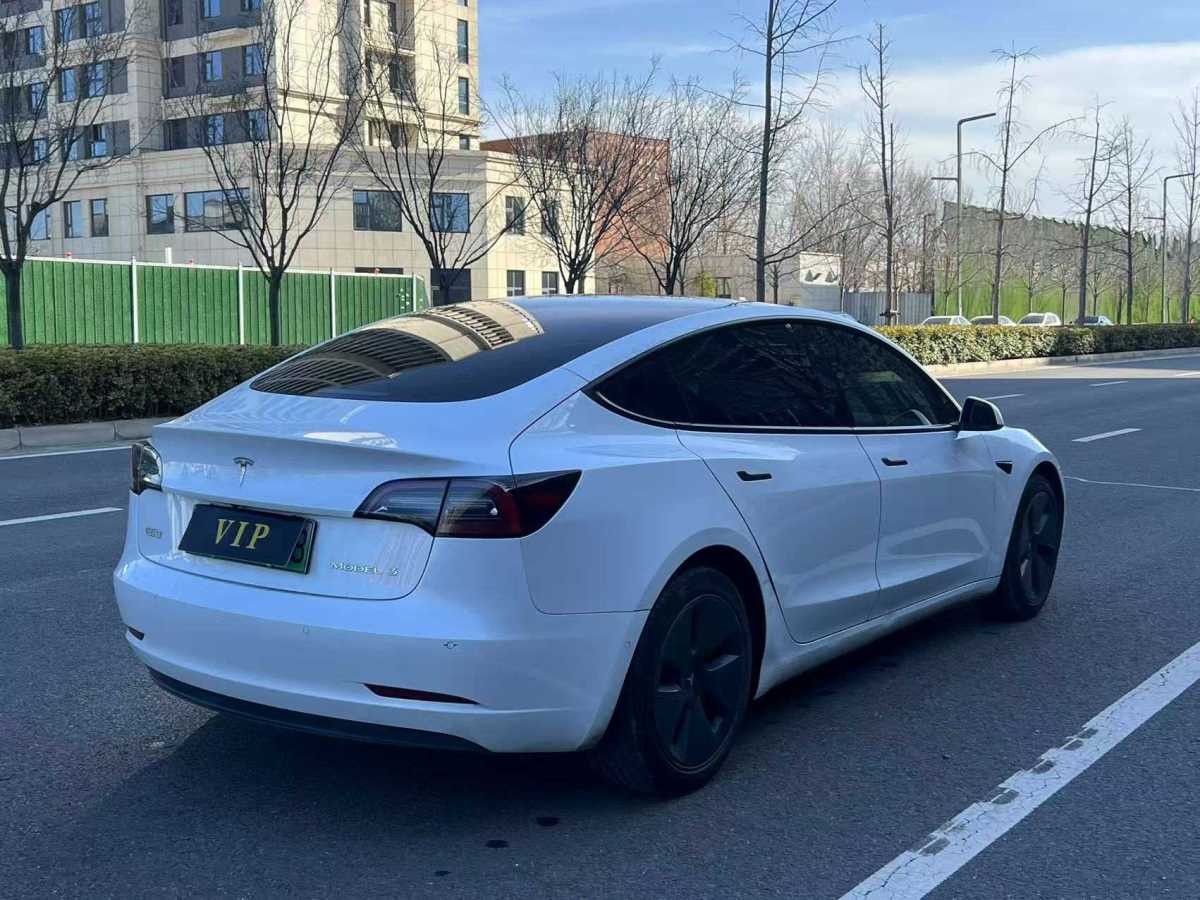 特斯拉 Model 3  2021款 標(biāo)準(zhǔn)續(xù)航后驅(qū)升級(jí)版 3D6圖片