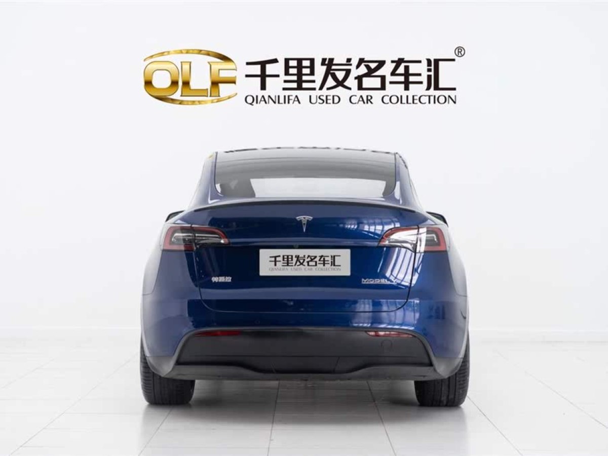 特斯拉 Model Y  2023款 高性能全輪驅(qū)動版圖片
