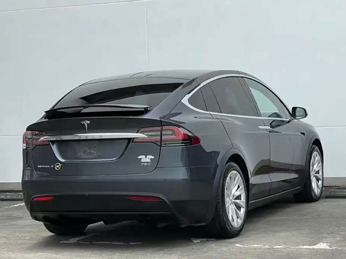 特斯拉 Model X  2016款 Model X 75D圖片