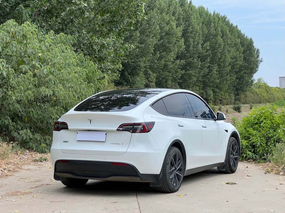 特斯拉 Model Y  2022款 改款 后輪驅(qū)動版圖片