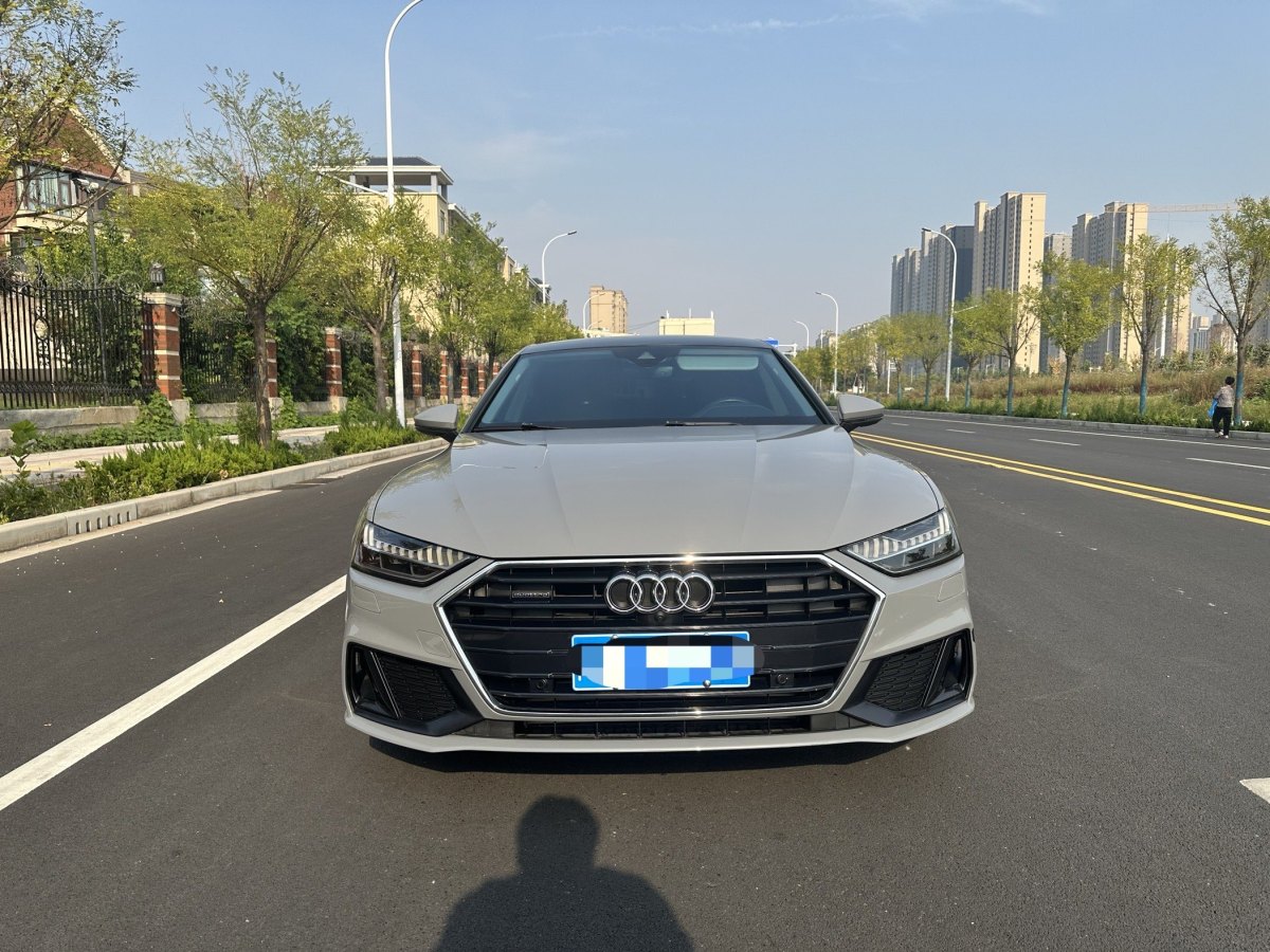 2019年2月奧迪 奧迪A7  2019款 55 TFSI quattro 動(dòng)感型