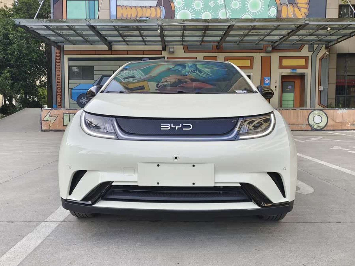 比亞迪 海豚  2024款 榮耀版 420km 時尚版圖片