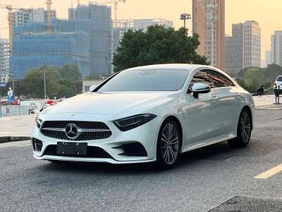 2019年5月 奔馳 奔馳CLS級(進口) CLS 300 動感型圖片