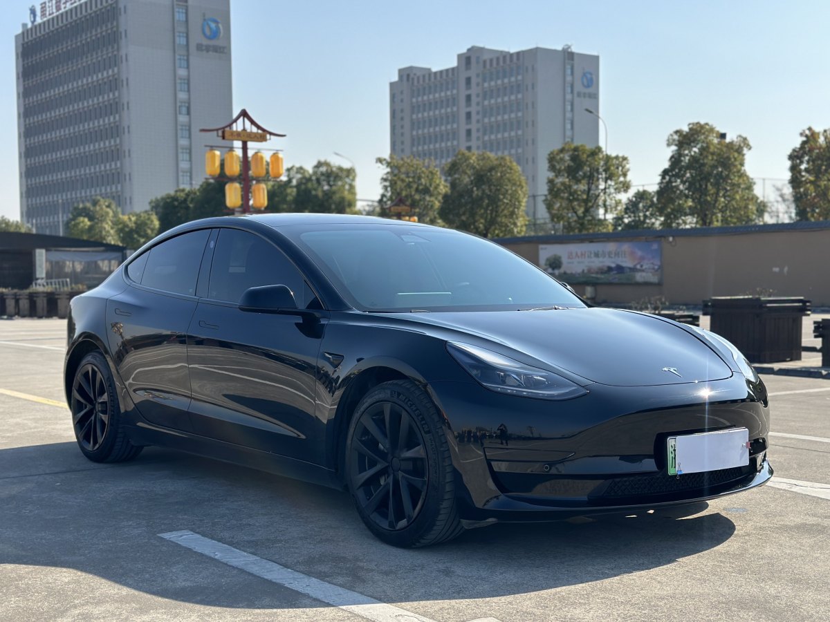 特斯拉 Model 3  2019款 標準續(xù)航后驅升級版圖片