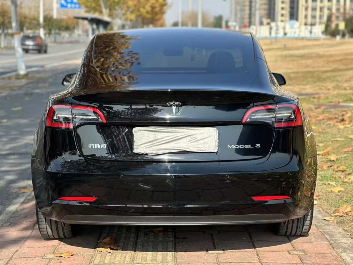 特斯拉 Model S  2023款 三電機全輪驅動 Plaid版圖片