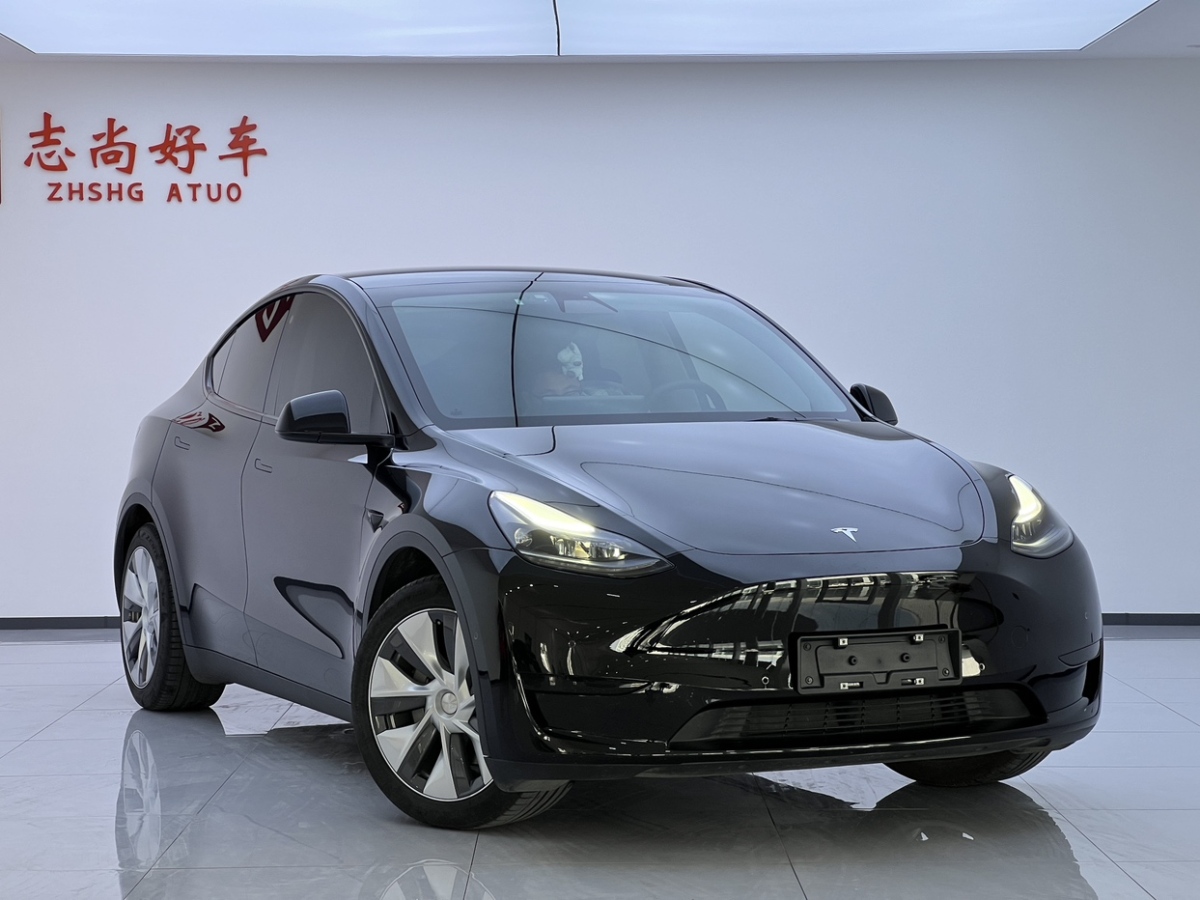 特斯拉 Model 3  2021款 標(biāo)準(zhǔn)續(xù)航后驅(qū)版圖片