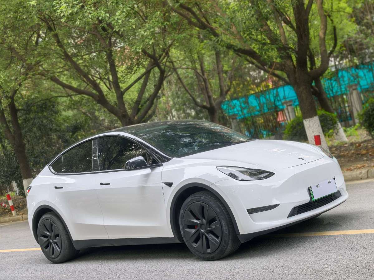 特斯拉 Model Y  2021款 標(biāo)準(zhǔn)續(xù)航后驅(qū)版圖片