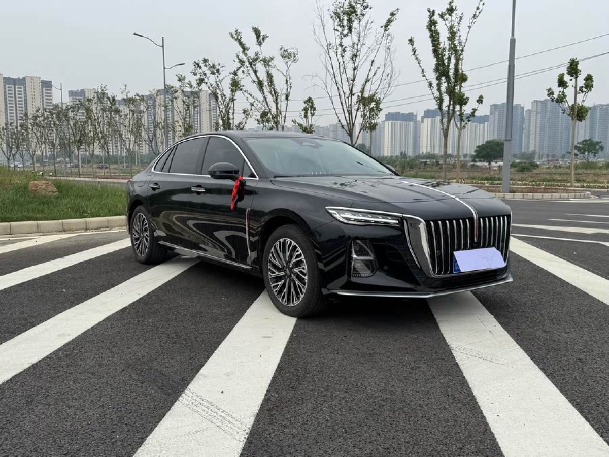 紅旗 H5  2025款 2.0T 自動旗暢50萬輛紀(jì)念版圖片