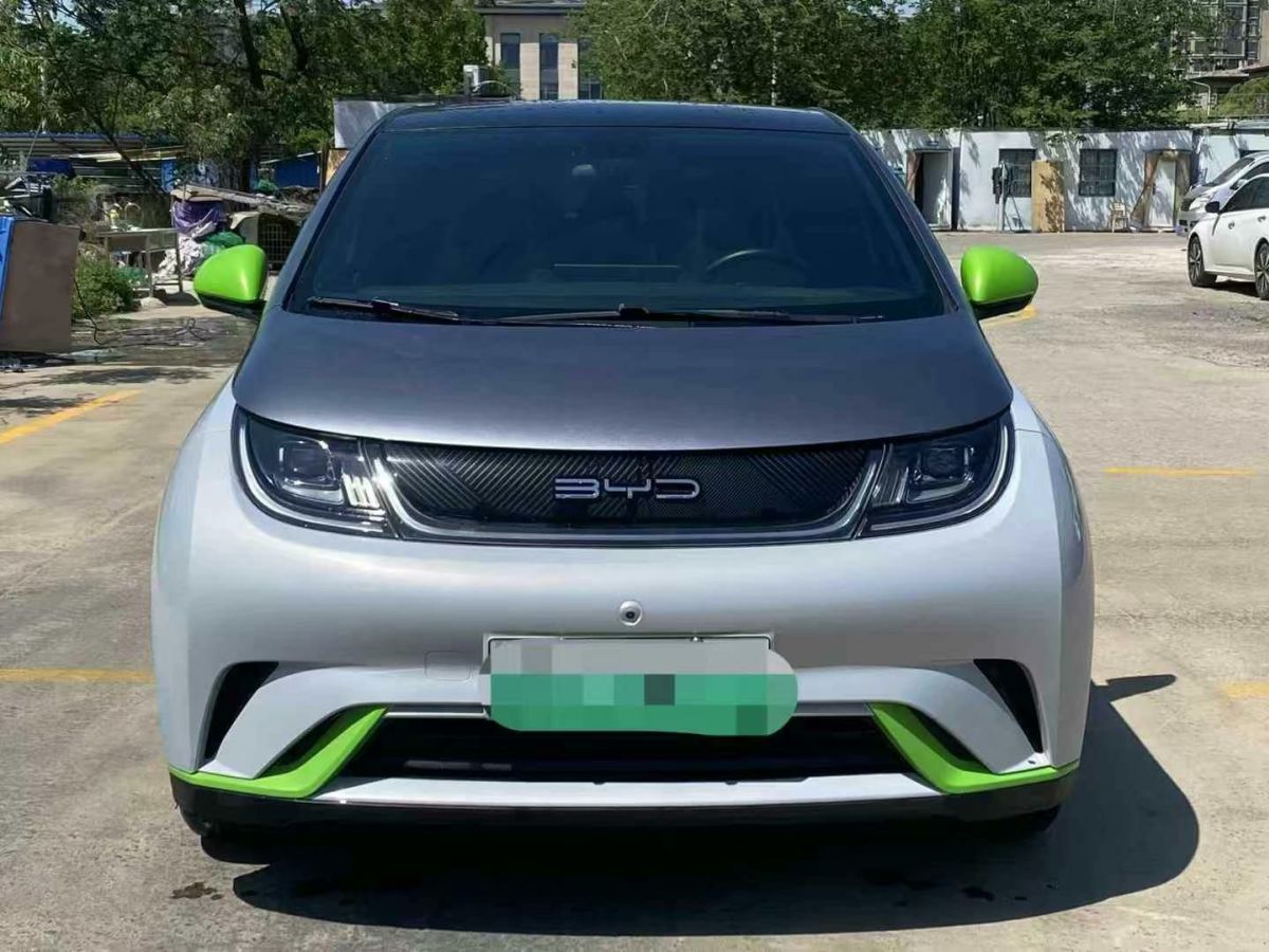 比亞迪 海豚 圖片