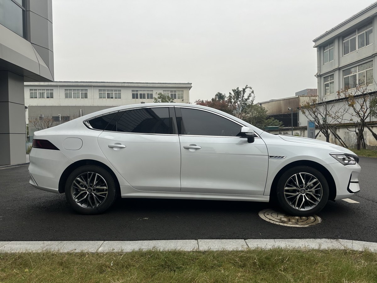 比亞迪 秦PLUS  2023款 冠軍版 EV 510KM卓越型圖片