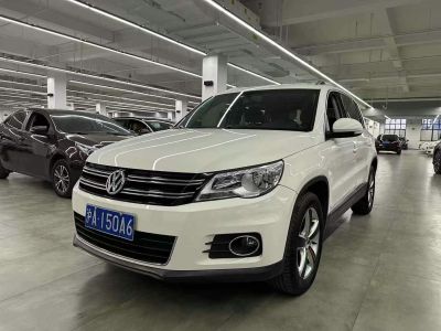 2012年2月 大眾 途歡(進(jìn)口) 2.0 TDI 舒適版圖片