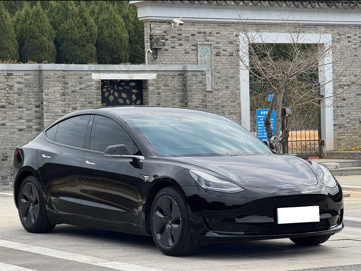 特斯拉 Model 3  2019款 標準續(xù)航后驅升級版圖片